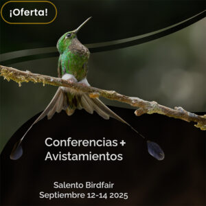 Paquete Avistamientos + Conferencias