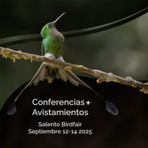 Paquete Avistamientos + Conferencias