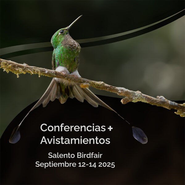 Paquete Avistamientos + Conferencias