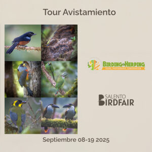 Tour Avistamiento de Aves - 12 días