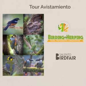 Tour Avistamiento de Aves - 12 días