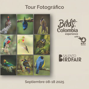 Tour Fotográfico - 11 días